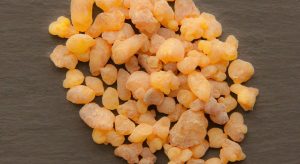 boswellia sacra, oman, frankincense
